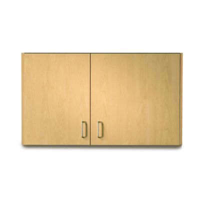 Clinton 42" Wall Cabinet with 2 Doors (Extended Right Door)  Slate Gray