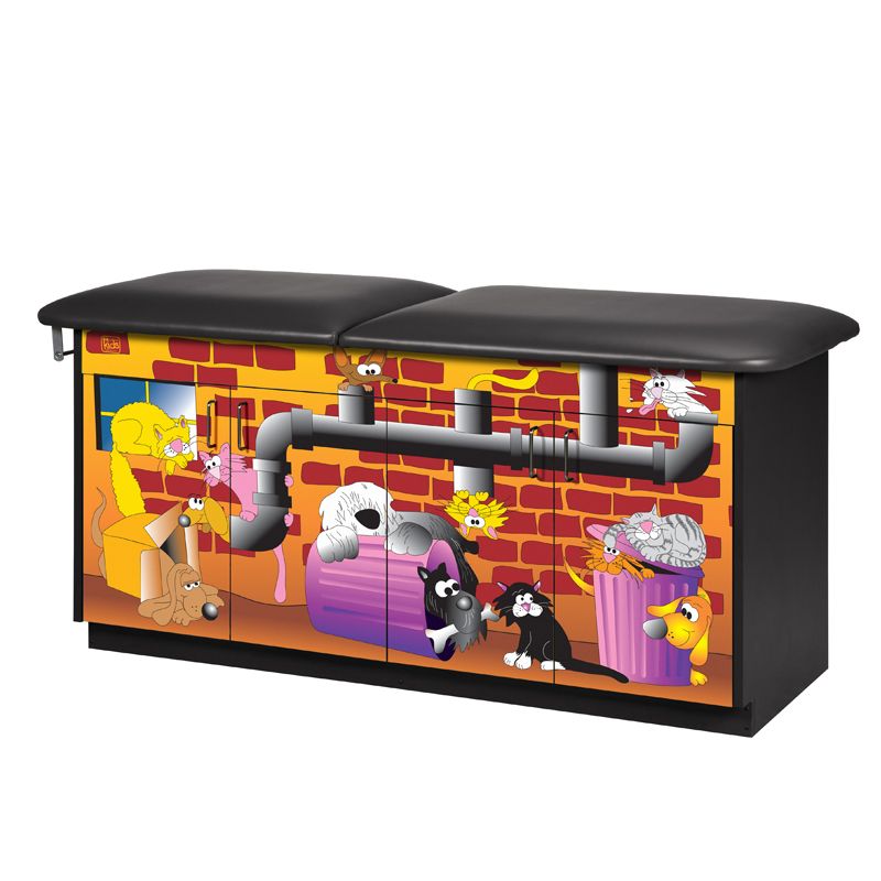 Clinton Alley Cats and Dogs Treatment Table  Without Backrest