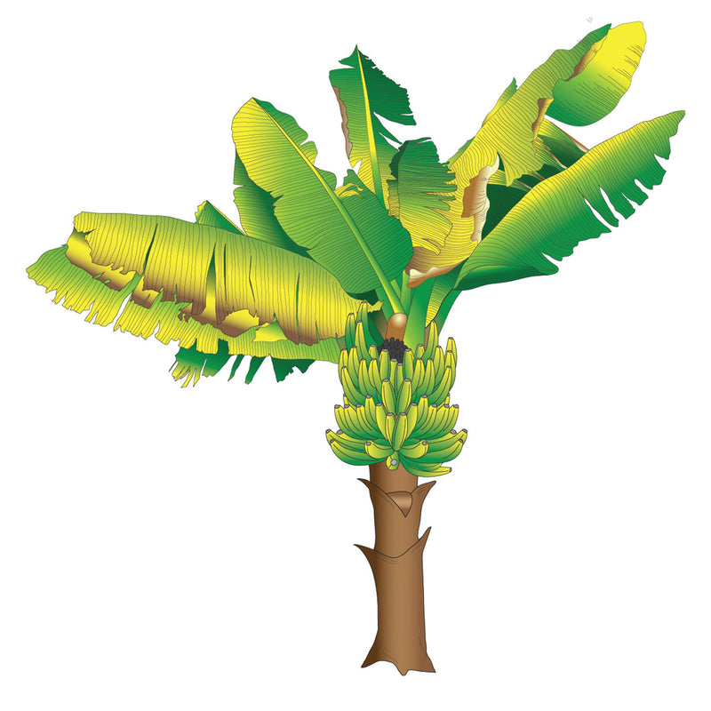 Clinton Banana Tree Wall Decal