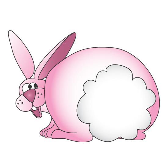 Clinton Cottontail Graphic