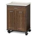 Clinton Fashion Finish Mobile Treatment Cabinet with 2 Doors and 1 Drawer - Chestnut Hill