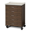 Clinton Fashion Finish Molded Top Mobile Treatment Cabinet with 5 Drawers  Chestnut Hill