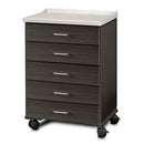 Clinton Fashion Finish Molded Top Mobile Treatment Cabinet with 5 Drawers  Twilight
