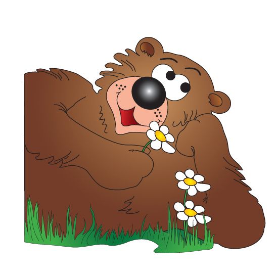 Clinton Friendly Bear Graphic