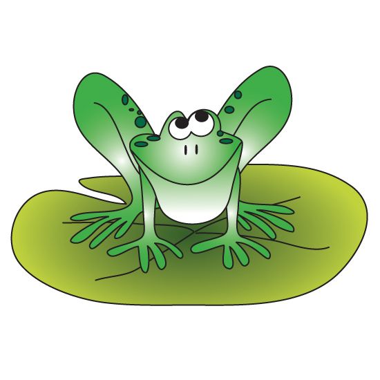 Clinton Froggie Graphic