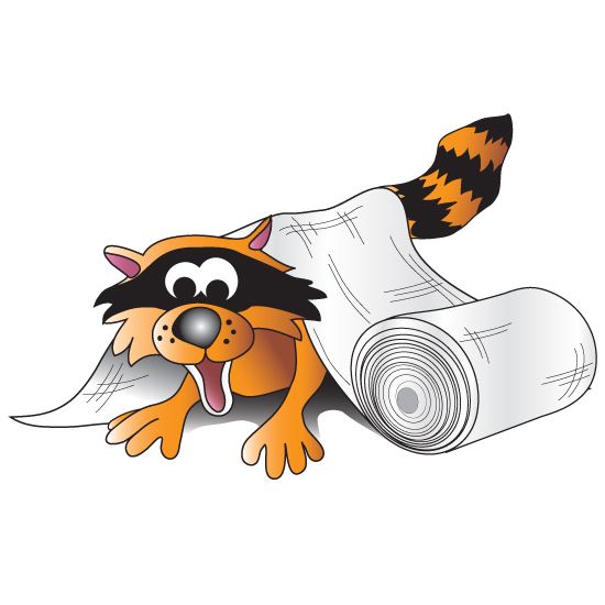 Clinton Gauze Raccoon Graphic