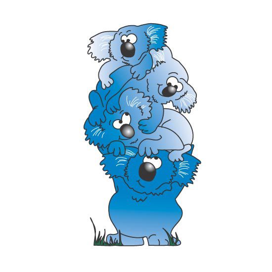 Clinton Koala Graphic