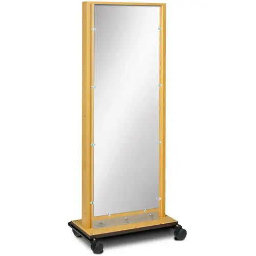 Clinton Mobile Adult Mirror