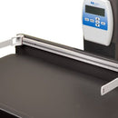 Clinton Alley Cats and Dogs Scale Table - Infantometer