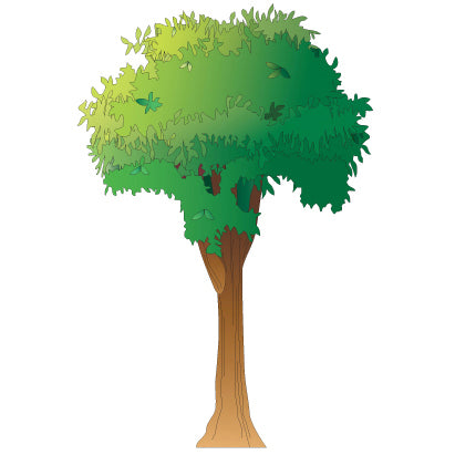 Clinton Tree Wall Sticker