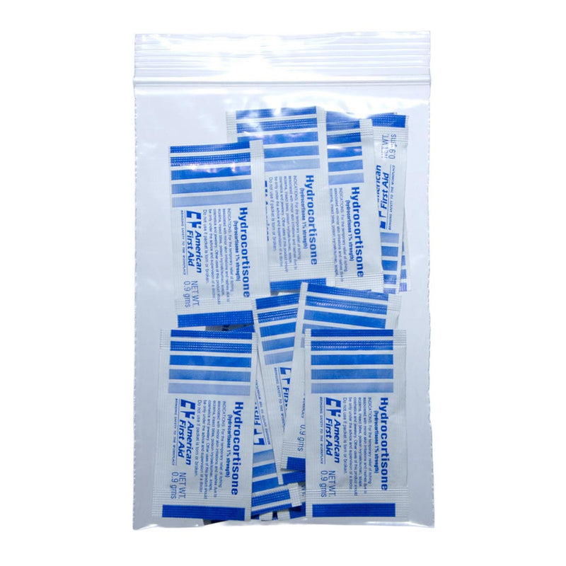 Clear Line Zip Closure Bag (Case of 1000)