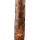 Brazos Exotic Leather Safari Hickory Rustic Walking Stick, 58-Inch (Each)