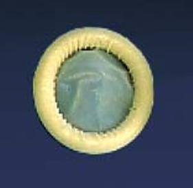 Parker Labs Ultra Cover Ultrasound Probe Cover (1200/CS) 