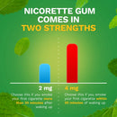 Nicorette Stop Smoking Aid Gum 4 mg Spearmint Burst with a Hint of Chamomile (100/CT) 