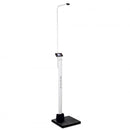 Detecto Icon Digital Clinical Scale