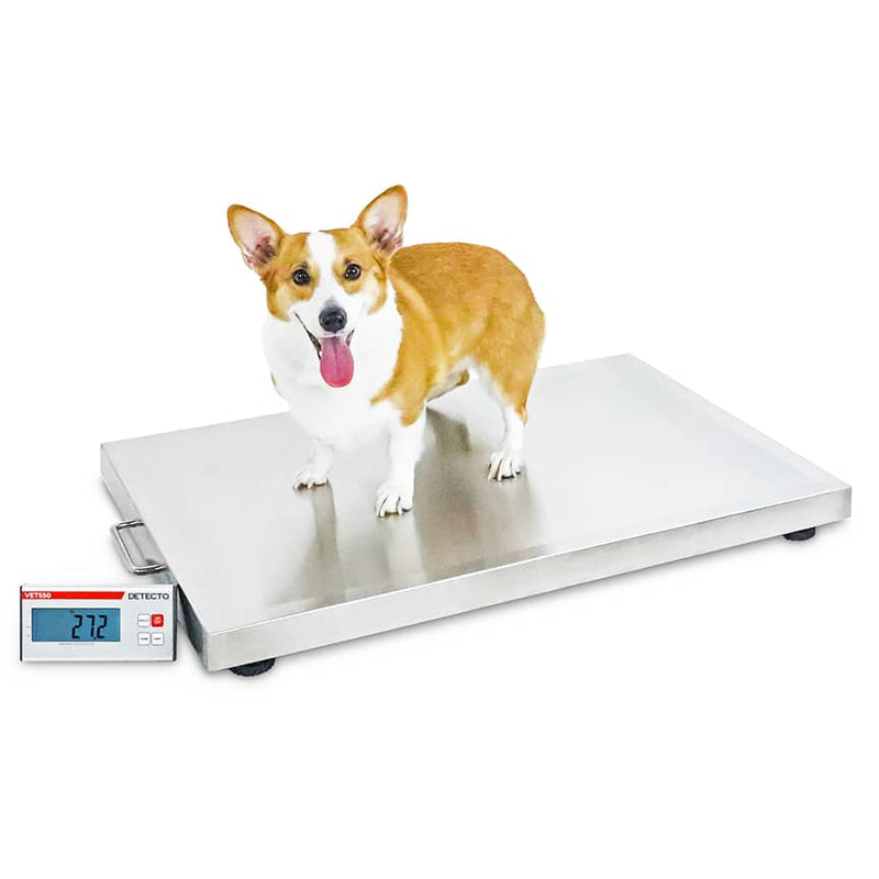 Detecto VET550 Medium-to-Large Size Animal Veterinary Scale with Corgi with tongue out