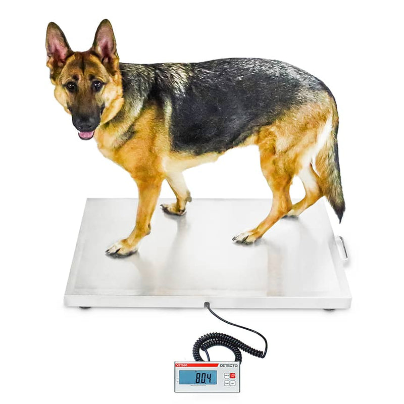 Detecto VET550 Medium-to-Large Size Animal Veterinary Scale with German Shepard