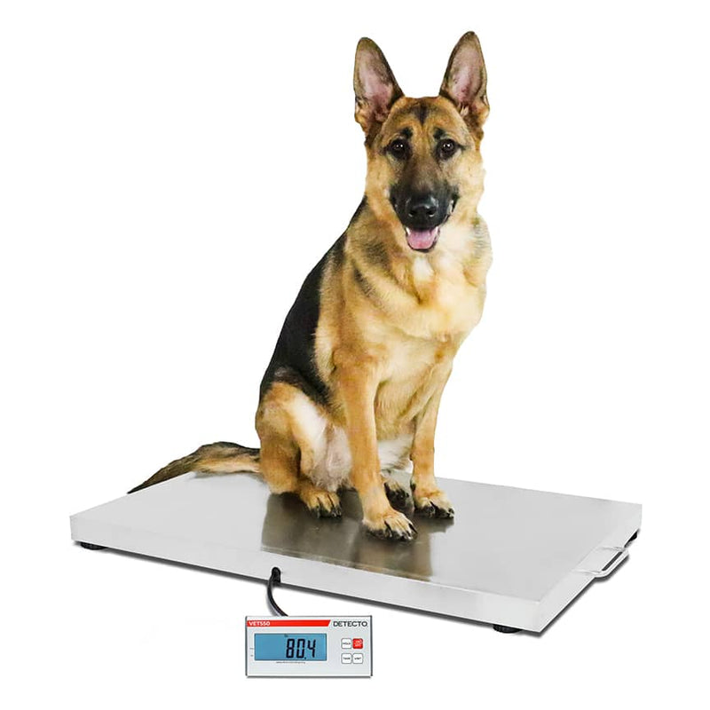 Detecto VET550 Medium-to-Large Size Animal Veterinary Scale with Sitting German Shepard