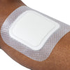 Silicone Foam Dressing Biatain Silicone Fit 5 X 5 Inch With Border Film Backing Silicone Adhesive Square Sterile (Box of 10)