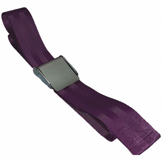 DMS Nylon Strap - Metal Cam Buckle - Maroon