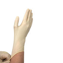 Dynarex Sterile Latex Exam Gloves - Powder-Free - length demo