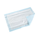 McKesson Classic Plus Light Absorbency Underpads, 17 x 24 Inch (Case of 300)