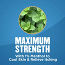 Sanofi Gold Bond Maximum Strength Medicated Foot Powder, 4 oz. 