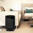 Air Purifier Fellowes AeraMax 290 600 sq.ft. 8 X 16 X 25 Inch Carbon Filters 