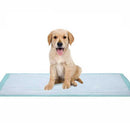 Dukal Dukal Fluff Underpad, 17 x 24 Inch (300/CS)