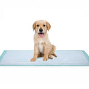 Dukal Dukal Fluff Underpad, 17 x 24 Inch (300/CS) 