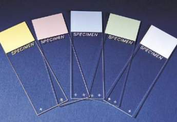 Superfrost Plus Microscope Slide (1440/CS)