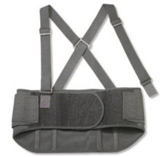 ProFlex Standard Back Support, Large (Each) 