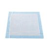 McKesson Classic Plus Light Absorbency Underpads, 23 x 24 Inch (Case of 200)