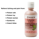 Major Pharmaceuticals Major Calamine / Zinc Oxide Itch Relief, 177 mL Bottle 