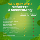 Glaxo Consumer Products Nicorette Stop Smoking Aid Gum 4 mg Spearmint Burst with a Hint of Chamomile (100/CT) 
