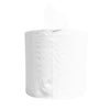 Paper Towel McKesson Perforated Roll 7-5/8 Inch X 600 Foot (Case of 6 Rolls)