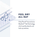Prevail Daily Pant Liners Moderate Absorbency Bladder Control Pad, 28 Inch (Case of 120)