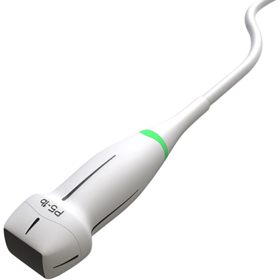 Edan P5-1b Phased Array Transducer