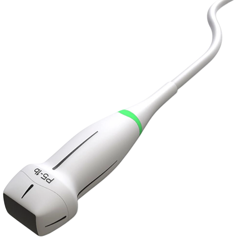 Edan P5-1b Phased Array Transducer