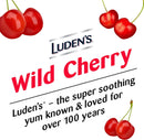 Prestige Medical Luden's Cherry Flavor Sore Throat Relief (30/BG) 