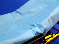 Stretcher Sheet SureFit Fitted 30 W X 84 L Inch Light Blue Nonwoven Polypropylene Disposable (50/CS) 