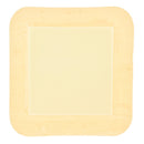 DermaLevin Adhesive with Border Foam Dressing, 6 x 6 Inch (Box of 10)