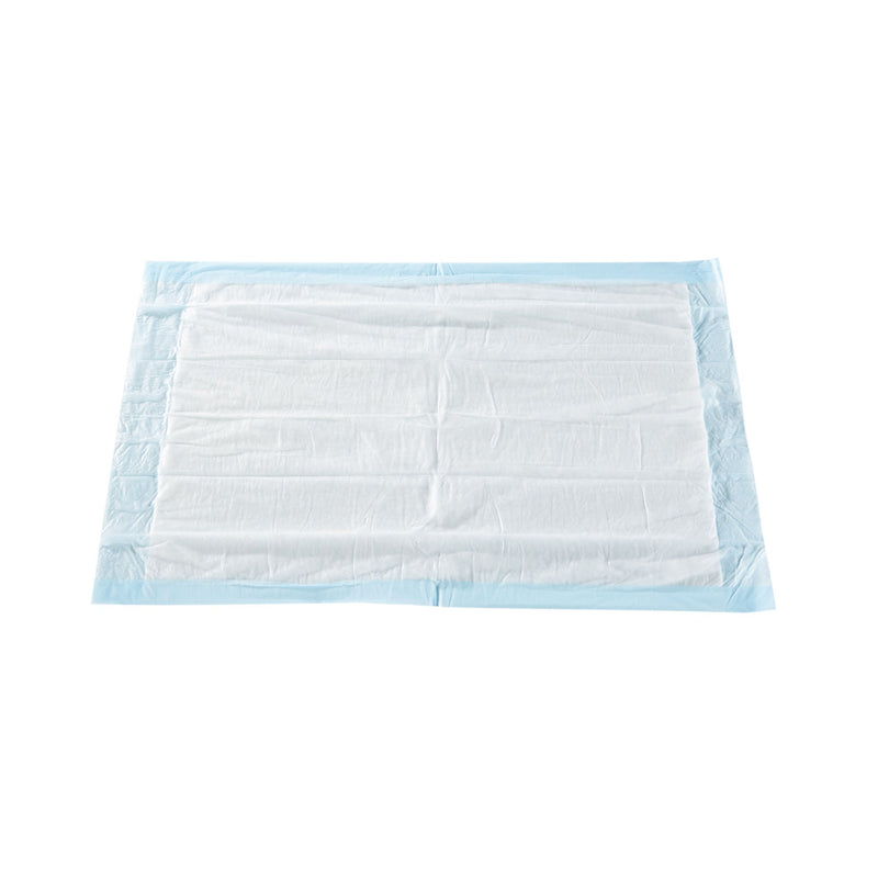 McKesson Classic Plus Light Absorbency Underpads, 17 x 24 Inch (Case of 300)