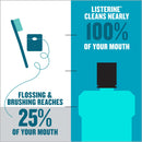 Listerine Cool Mint Antiseptic Mouthwash, 1.5 Liter (Each)