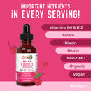 Mary Ruth's Vegan B-Complex Drops, B Vitamins in Liquid Form (Case of 6)