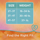 Female Toddler Training Pants Pampers Easy Ups Pull On with Tear Away Seams Size 2T to 3T Disposable Moderate Absorbency (Case of 100)