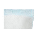 Secure Personal Care Products TotalDry Moderate Extra Absorbency Bladder Control Pad, 4 x 13 Inch (180/CS) 