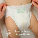 Earth & Eden Sensitive Baby Diapers, Size 5 for Babies Weighing up to 27 lbs. (Case of 172)