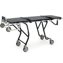 Ferno 24-miniMAXX Mortuary Cot