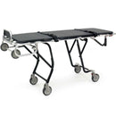Ferno 24-miniMAXX Mortuary Cot  With Side-Lift Handles (1 Pair)